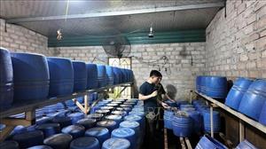 Chủ tịch xã, phường, đặc khu phải chịu trách nhiệm về công tác bảo đảm an toàn thực phẩm