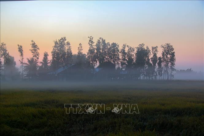  Những cánh đồng trải dài chìm trong làn sương mỏng, tạo nên khung cảnh vừa huyền ảo vừa yên bình. Ảnh: Duy Khương - TTXVN