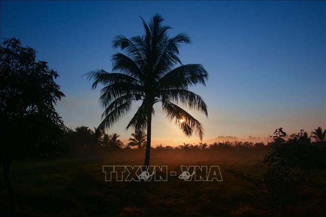 Thời tiết giao mùa mang lại cho miền quê Cần Thơ một sức hút rất riêng. Ảnh: Duy Khương – TTXVN