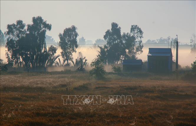 Thời tiết giao mùa mang lại cho miền quê Cần Thơ một sức hút rất riêng. Ảnh: Duy Khương – TTXVN