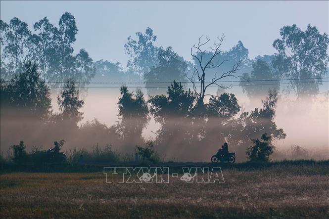Miền quê Cần Thơ gây thương nhớ bởi những con đường làng tĩnh lặng vào buổi sớm. Ảnh: Duy Khương – TTXVN