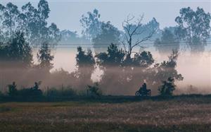 Vẻ đẹp thơ mộng miền quê Cần Thơ trong sương sớm