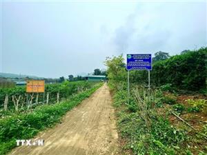 Nghệ An: Khai thác dược liệu bản địa, hướng tới ngành kinh tế xanh bền vững