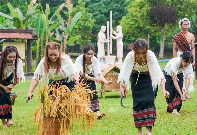 Lễ cúng mừng lúa mới - lễ thức quan trọng trong đời sống tâm linh, văn hóa cộng đồng bào Chu Ru. Ảnh: Khánh Hoà - TTXVN