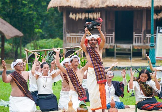 Lễ cúng mừng lúa mới - lễ thức quan trọng trong đời sống tâm linh, văn hóa cộng đồng bào Chu Ru. Ảnh: Khánh Hoà - TTXVN