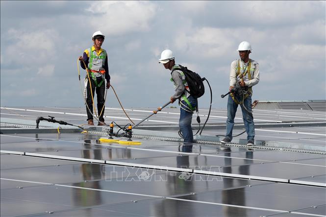 Nhiều doanh nghiệp và hộ dân ở Cà Mau sử dụng điện mặt trời để giảm chi phí. Ảnh: Trung Hiếu -TTXVN