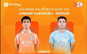 Link xem trực tiếp bóng đá SHB Đà Nẵng vs Thép Xanh Nam Định 18h00 hôm nay, V-League vòng 19