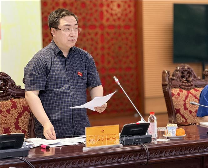 Phó Chủ nhiệm Ủy ban Văn hóa và Xã hội Đặng Xuân Phương trình bày báo cáo thẩm tra. Ảnh: Đỗ Bình - TTXVN 