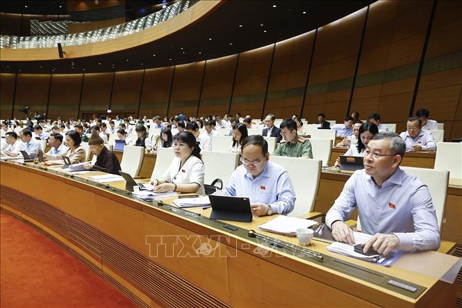 Đoàn đại biểu Quốc hội tỉnh Quảng Ninh dự phiên họp. Ảnh: Doãn Tấn - TTXVN