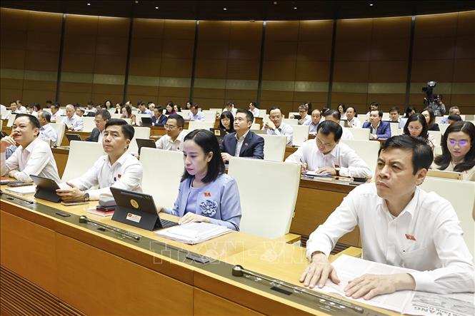 Đoàn đại biểu Quốc hội TP Hồ Chí Minh dự phiên họp. Ảnh: Doãn Tấn - TTXVN