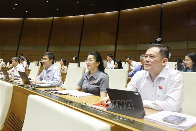 Đoàn đại biểu Quốc hội tỉnh Nghệ An dự phiên họp. Ảnh: Doãn Tấn - TTXVN