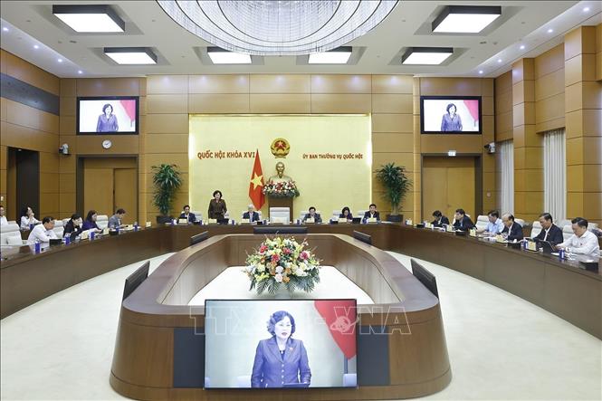 Phó chủ tịch Quốc hội Nguyễn Thị Hồng phát biểu. Ảnh: Doãn Tấn - TTXVN