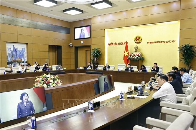 Phó chủ tịch Quốc hội Nguyễn Thị Hồng phát biểu. Ảnh: Doãn Tấn - TTXVN