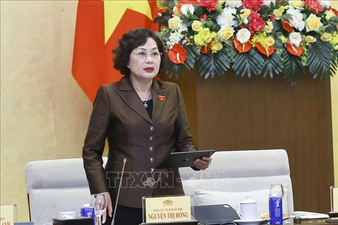 Phó chủ tịch Quốc hội Nguyễn Thị Hồng phát biểu. Ảnh: Doãn Tấn - TTXVN