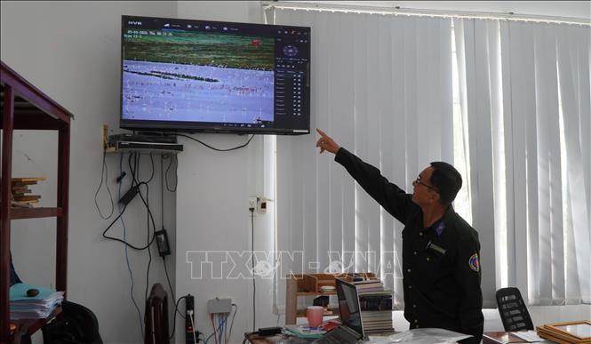 Vườn quốc gia Tràm Chim giám sát từ xa tình hình chim, cò về tìm thức ăn. Ảnh: Nhựt An - TTXVN