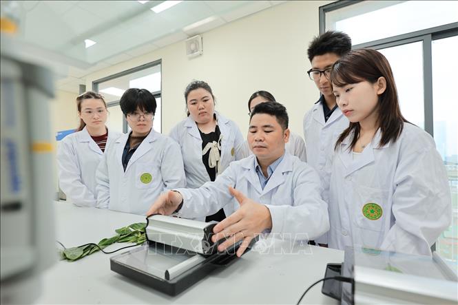 Giảng viên Khoa Nông học hướng dẫn sinh viên sử dụng và đọc thông số Máy đo diện tích lá. Ảnh: Lê Đông - TTXVN
