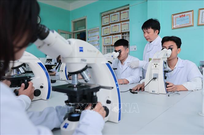 Giảng viên Khoa Thủy sản trực tiếp hướng dẫn sinh viên quan sát tác nhân gây bệnh trên động vật thuỷ sản bằng kính hiển vi. Ảnh: Lê Đông - TTXVN