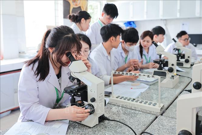 Sinh viên Khoa Chăn nuôi thực hành soi, đếm tế bào máu phục vụ chẩn đoán lâm sàng vật nuôi bằng kính hiển vi quang học. Ảnh: Lê Đông - TTXVN