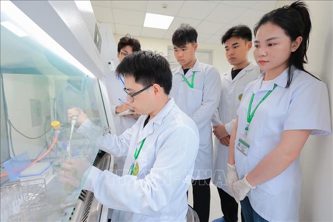 Giảng viên Khoa Tài nguyên và môi trường đang hướng dẫn sinh viên thao tác trong phòng thí nghiệm, trực tiếp tiến hành kỹ thuật xử lý mẫu. Ảnh: Lê Đông - TTXVN