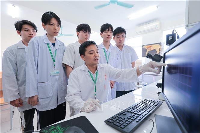 Giảng viên hướng dẫn sinh viên Khoa Chăn nuôi sử dụng kính hiển vi quang học để đếm số lượng hồng - bạch cầu trong máu của vật nuôi. Ảnh: Lê Đông - TTXVN