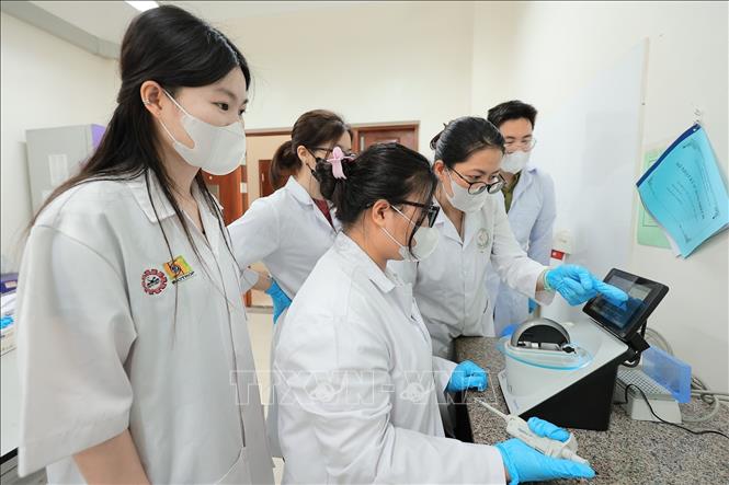 Giảng viên Khoa Công nghệ sinh học chỉ dẫn sinh viên đọc và phân tích các chỉ số đo nồng độ ADN thực vật sau tách chiết. Ảnh: Lê Đông - TTXVN