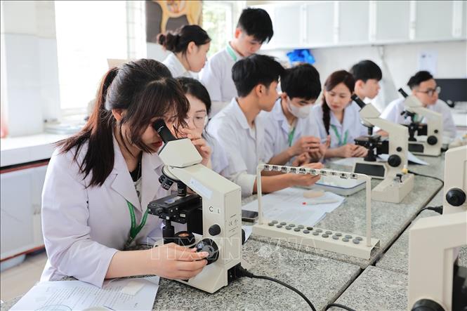 Sinh viên Khoa Chăn nuôi thực hành soi, đếm tế bào máu phục vụ chẩn đoán lâm sàng vật nuôi bằng kính hiển vi quang học. Ảnh: Lê Đông - TTXVN