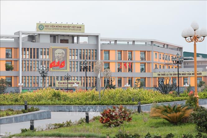 Học viện Nông nghiệp Việt Nam tiền thân là Trường Đại học Nông Lâm (thành lập 12/10/1956), là đại học công lập trọng điểm quốc gia, trung tâm đào tạo, nghiên cứu và chuyển giao tri thức hàng đầu về nông nghiệp. Ảnh: Lê Đông - TTXVN