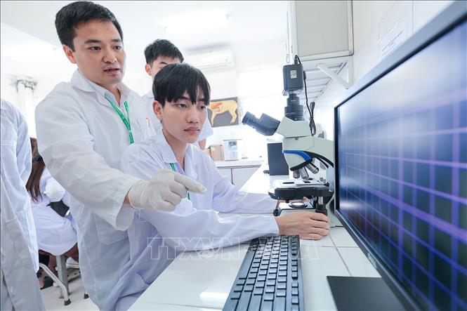 Giảng viên hướng dẫn sinh viên Khoa Chăn nuôi sử dụng kính hiển vi quang học để đếm số lượng hồng - bạch cầu trong máu của vật nuôi. Ảnh: Lê Đông - TTXVN