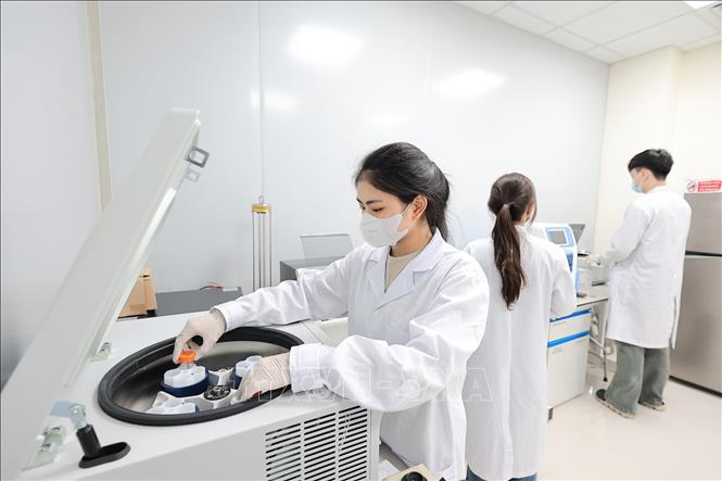 Giảng viên cùng sinh viên Khoa Thú y triển khai các thí nghiệm, phân tích mẫu trong phòng thí nghiệm chuyên sâu, phục vụ nghiên cứu, đào tạo và nâng cao kỹ năng thực hành. Ảnh: Lê Đông - TTXVN