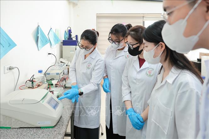 Giảng viên hướng dẫn thao tác, đọc số liệu đo của máy PCR nhân gien để phân tích đa dạng di truyền thực vật đến sinh viên Khoa công nghệ sinh học. Ảnh: Lê Đông - TTXVN