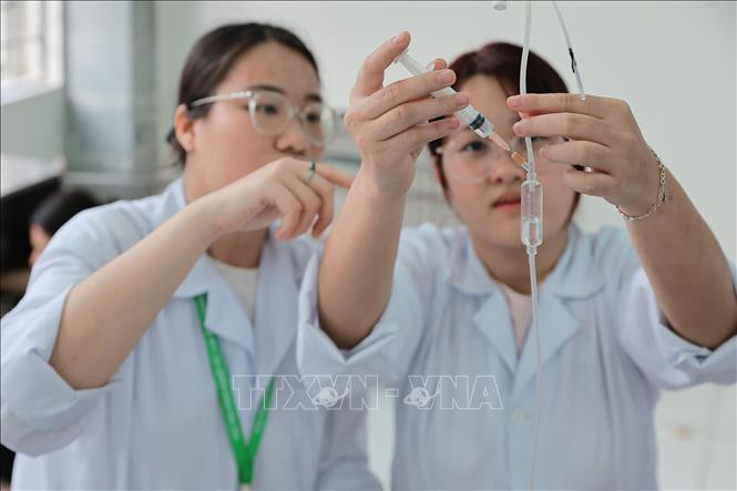 Sinh viên Khoa Thú y thực tập kỹ năng truyền dịch và chăm sóc thú nhỏ tại phòng khám thực nghiệm. Ảnh: Lê Đông - TTXVN