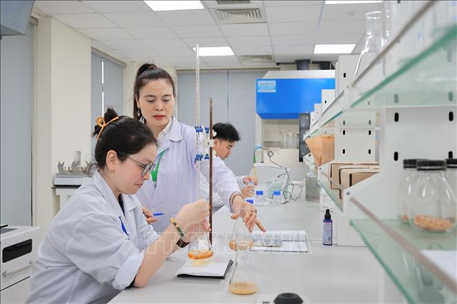 Giảng viên Khoa Tài nguyên và môi trường trực tiếp kèm cặp hướng dẫn sinh viên thao tác thí nghiệm, từ chuẩn bị mẫu đến quan sát phản ứng, giúp người học nắm vững kỹ năng và quy trình phân tích trong phòng Lab. Ảnh: Lê Đông - TTXVN