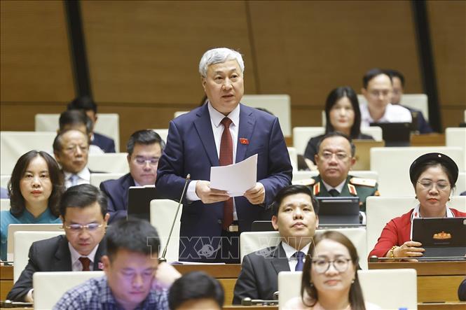 Đại biểu Quốc hội tỉnh Bắc Ninh Trần Văn Lâm phát biểu. Ảnh: Doãn Tấn - TTXVN