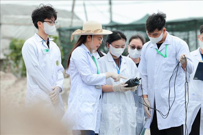 Sinh viên Khoa Tài nguyên và môi trường thực hành khảo sát thực địa, trực tiếp lấy mẫu và đo đạc chất lượng nước, gắn lý thuyết với thực tiễn trong quá trình học tập. Ảnh: Lê Đông - TTXVN