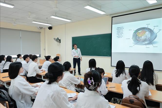 Giờ học chuyên sâu về Sinh học phát triển và Công nghệ phôi của sinh viên Khoa Công nghệ sinh học. Ảnh: Lê Đông - TTXVN