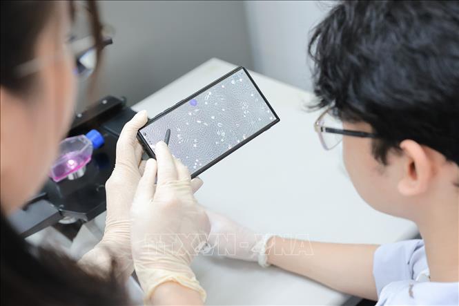 Giảng viên Khoa Thú y hướng dẫn sinh viên quan sát mẫu dưới kính hiển vi Quang học, phân tích đặc điểm vi sinh và ghi chép kết quả phục vụ chẩn đoán, nghiên cứu. Ảnh: Lê Đông - TTXVN