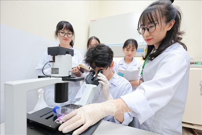 Giảng viên Khoa Thú y hướng dẫn sinh viên quan sát mẫu dưới kính hiển vi Quang học, phân tích đặc điểm vi sinh và ghi chép kết quả phục vụ chẩn đoán, nghiên cứu. Ảnh: Lê Đông - TTXVN