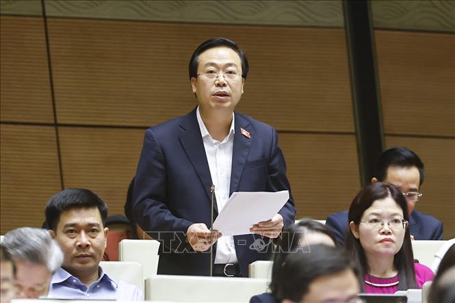 Đại biểu Quốc hội tỉnh Hưng Yên Nguyễn Đại Thắng phát biểu. Ảnh: Doãn Tấn - TTXVN