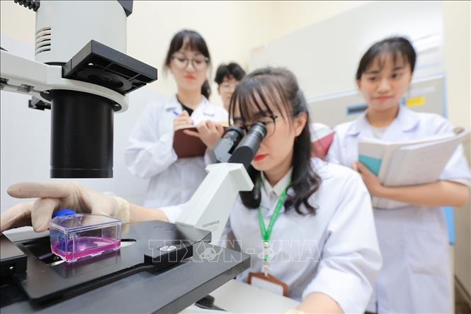 Giảng viên Khoa Thú y hướng dẫn sinh viên quan sát mẫu dưới kính hiển vi Quang học, phân tích đặc điểm vi sinh và ghi chép kết quả phục vụ chẩn đoán, nghiên cứu. Ảnh: Lê Đông - TTXVN