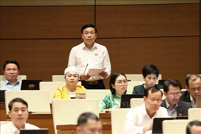 Đại biểu Quốc hội tỉnh Phú Thọ Nguyễn Văn Mạnh phát biểu. Ảnh: An Đăng - TTXVN