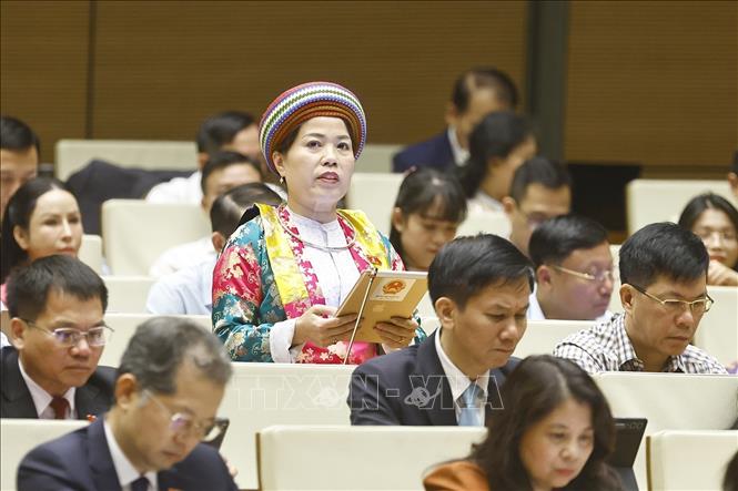 Đại biểu Quốc hội tỉnh Tuyên Quang Lý Thị Lan phát biểu. Ảnh: Doãn Tấn - TTXVN