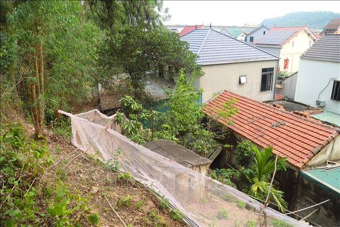 Nhiều gia đình đã đóng cọc, căng lưới dưới chân núi Hòn Thông. Ảnh: Xuân Tiến - TTXVN 
