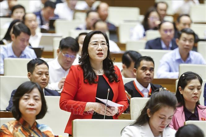 Đại biểu Quốc hội tỉnh Thái Nguyên Nguyễn Thị Thủy phát biểu. Ảnh: Doãn Tấn - TTXVN