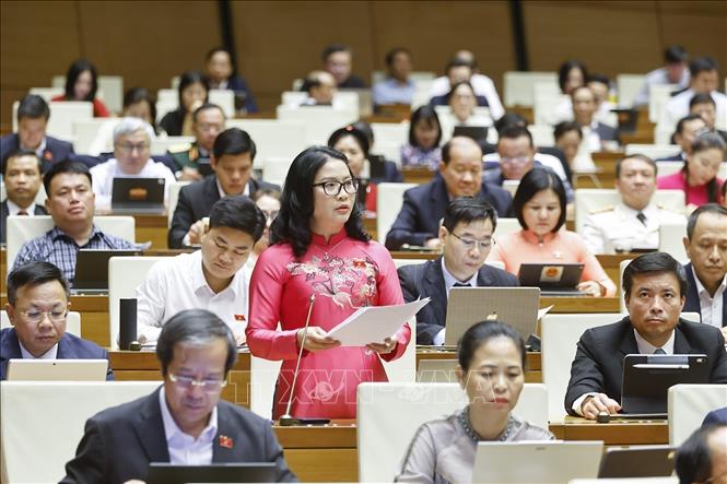 Đại biểu Quốc hội TP Hà Nội Nguyễn Thị Lan phát biểu. Ảnh: Doãn Tấn - TTXVN