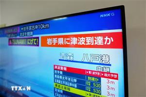 Người Việt trong vùng động đất tại Nhật Bản đều an toàn