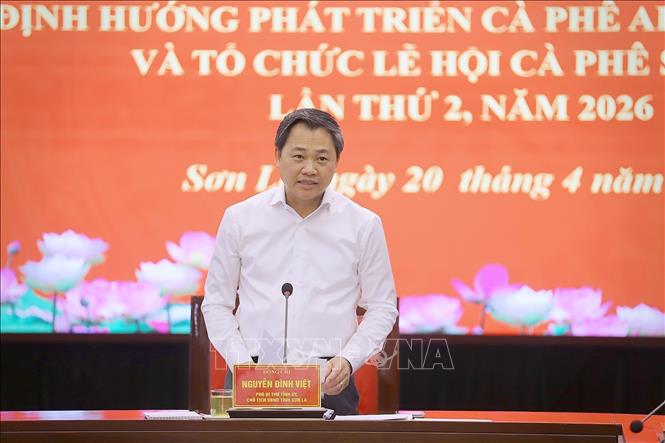 Phó Bí thư Tỉnh ủy, Chủ tịch UBND tỉnh Nguyễn Đình Việt phát biểu tại hội nghị.Ảnh: Trọng Đạt-TTXVN