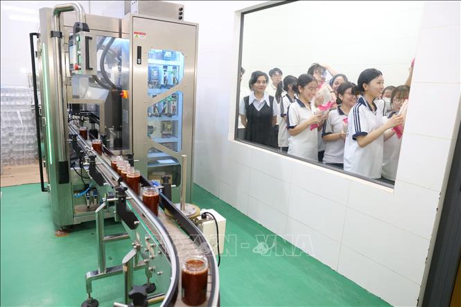 Học sinh lớp 11A1, Trường Trung học phổ thông Lý Thường Kiệt khảo sát khu sản xuất tại Công ty TNHH Tân Nhiên. Ảnh: Thanh Tân - TTXVN