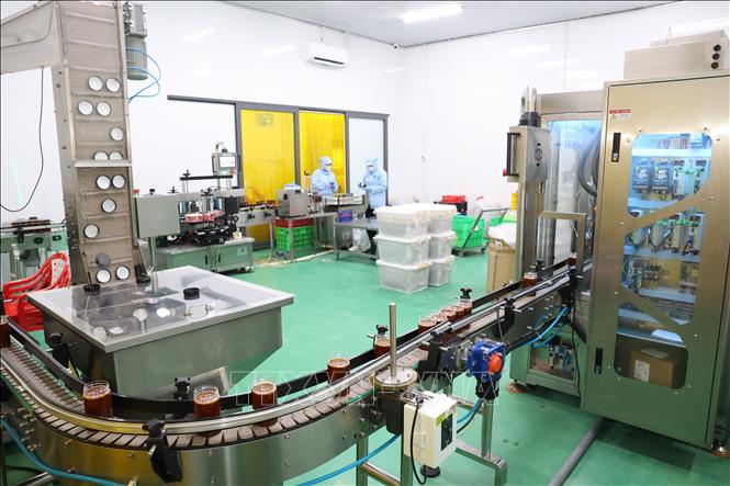 Dây chuyền đóng gói sản phẩm tự động tại Công ty TNHH Tân Nhiên. Ảnh: Thanh Tân - TTXVN