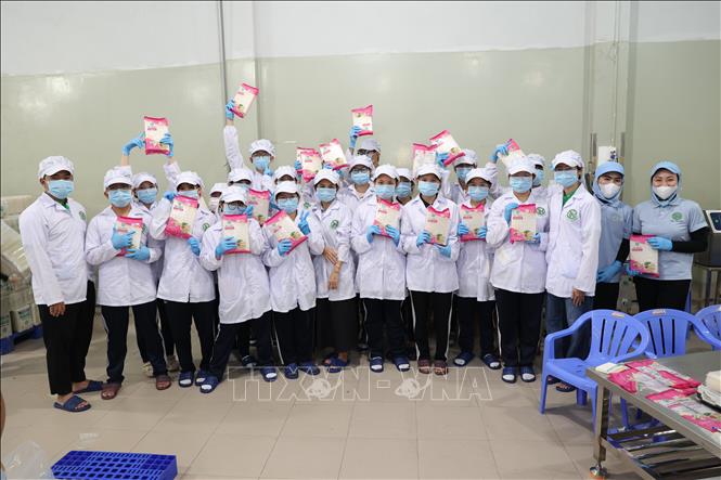 Sản phẩm thành phẩm do các em học sinh lớp 11A1, Trường Trung học phổ thông Lý Thường Kiệt trải nghiệm tự tay đóng gói sản phẩm tại Công ty TNHH Tân Nhiên. Ảnh: Thanh Tân - TTXVN