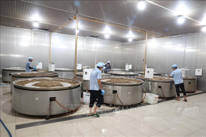 Khu sản xuất muối tiêu, muối tôm Tây Ninh tại Công ty TNHH Tân Nhiên. Ảnh: Thanh Tân - TTXVN